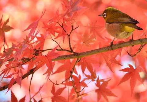 F54ab408105e81f2d6128b10eb607718