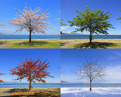 D7a9e2065391f7bf557950b182b8a2b9