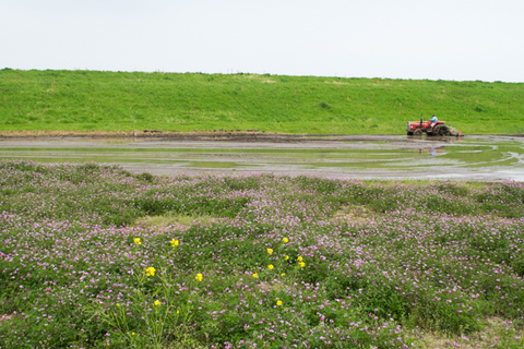 Ad990d5a58101f763f140a804ca9a2c1