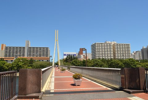 Bfb898baa8cdab99c812024e7257f5bf