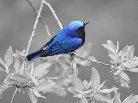 373b9beb2251ed0dc1d39d1f6f440945