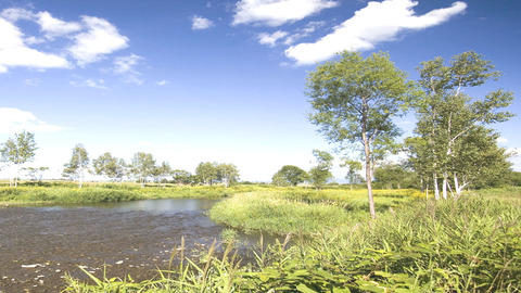 006da11b5c598f11ace38106ac58fa5f