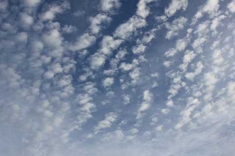 Bcfc96fe71ce2a7394346188a7a736a6