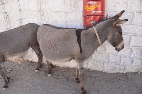 F7e0228767f46b90108795d823b0696f