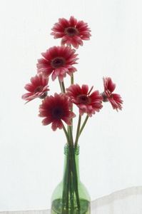 3192aaa475205340cbcb639b7bfb860b