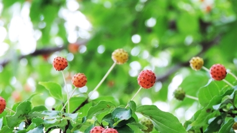 Db336167437e9faca5bcc2e4cdde9472