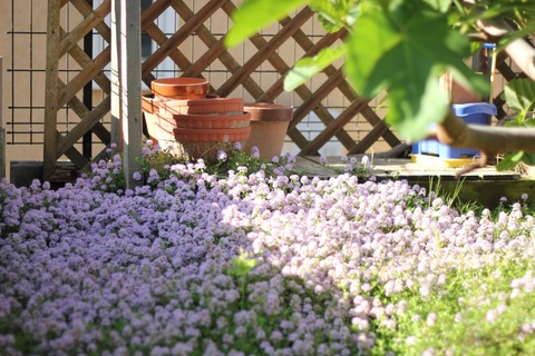 767b522698bc20e651910d7063f6146c