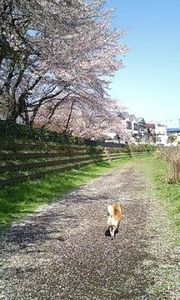 2800dc326be59a3f05e29690852b62a4