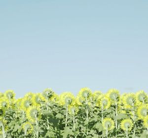 Be6404aff30870d6f1a069f868dc851b