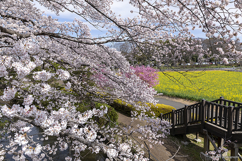 5ae219dc74af95b0623c746918ef2f9c