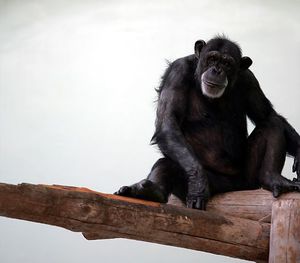 D15e5262eee51875c97923fcea8dec96