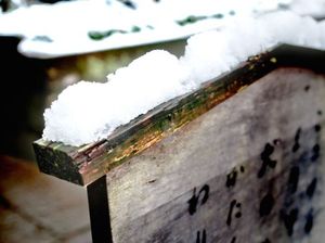 218c696b8b8c24bc720b76c26f0065a2