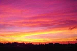 87c287e035179e15df164f3fa7e5ad20