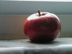 83759dacbbda2a22d0dacd56e2504d8d