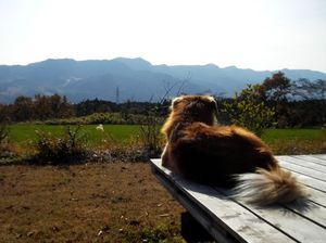 8ccb45d3cd42d352acf1a3d03aeaec7d