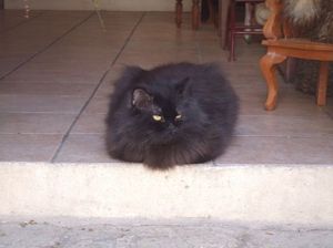 Def7ebf31dd4e1006f7835d7781a3666