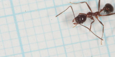 16c78c8820d49815cbb7df74b926ddd5