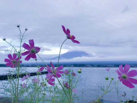 C73439e58f741abcb51f83e2fb41a2c0