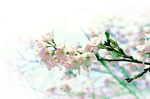 272e8f47ebf312903cb6f44b1fd0e6ad