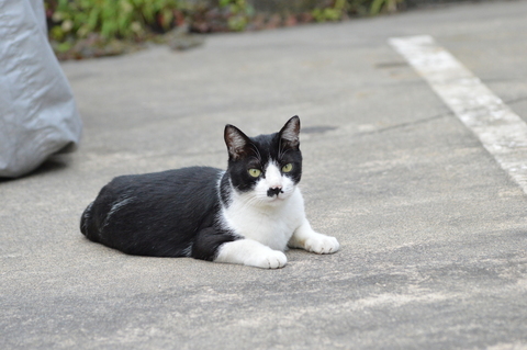 25bbd883f46e1bb5a735462e1843b50e