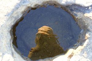 61b46988ab2c70c2163edf375eebc8d3