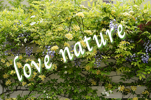 09964e380241d7a1403483ded9595759