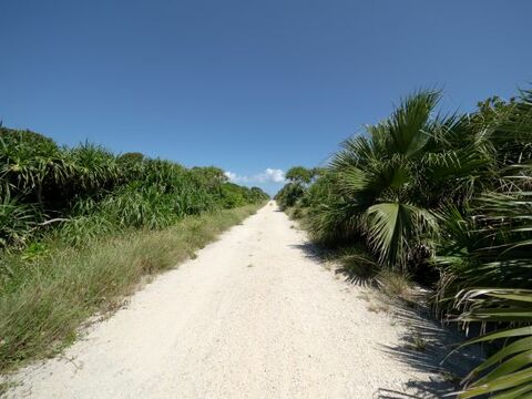 766a8108f622c23d323d7ee8af8ef6c0