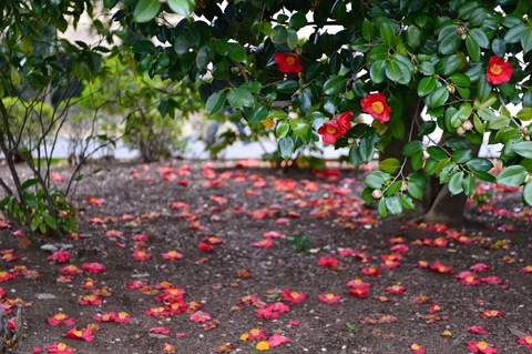 820740fd044ac10bae306dc672064bab