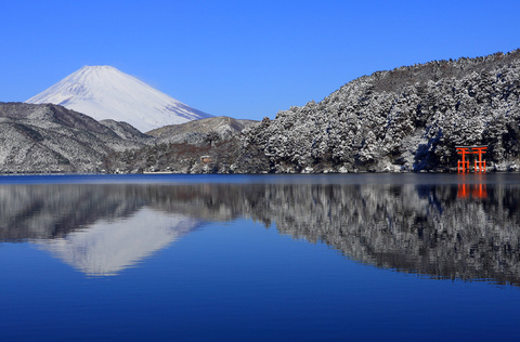 F4d70ca7646b8c858016c410f595adec