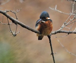 8ecb51f4560d8fdf8247eb9f2211f2e0