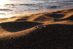 0806885e04f36146b0e938f9e1025fa2