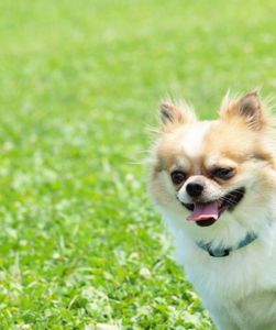 C21071aab48cff2307ba081085d8fd15