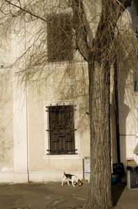 Ac87cdfeb4fa58dbd33c0d9c52288b08