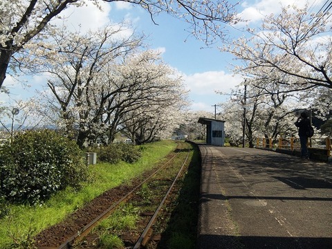 E5a6388c0522b13286408ab3b32ec838