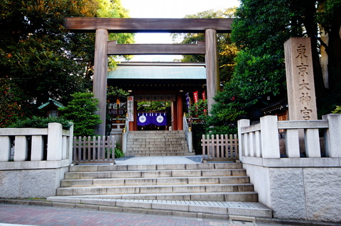 A31550ba89b588c066e9bc608938ddba