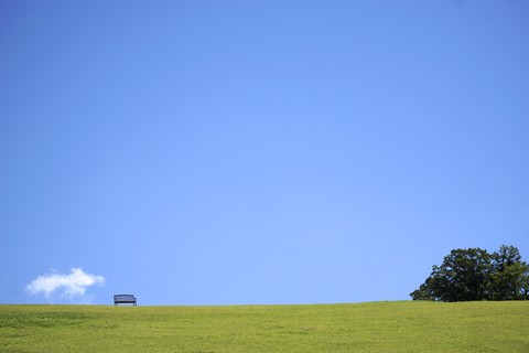 E26fa56e3ea4fa5c1ec985c1216a0e8e