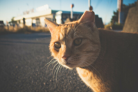 E6d7d5adc482b7447261bfa820d89168