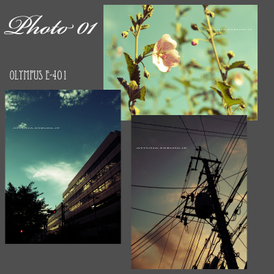 B16b1ee82c01af83dbb2bfed73831623