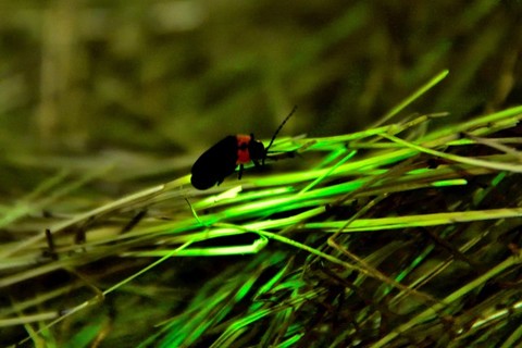 963136d84813cf3be474af51fb63273b