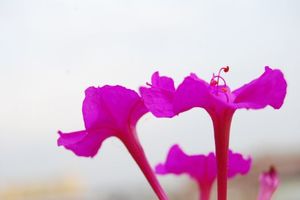 0d0d2b16c8fdc77e41094ffb84cd66fd