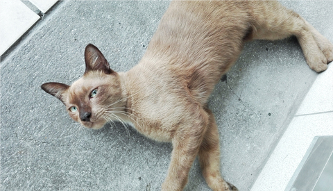 Aa7e1f1c0d64d7e324e4db539b9d17f3