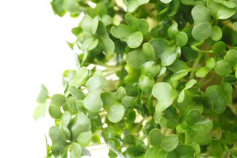 4d66e0dd8b4eff9b75b443bb844e5e14