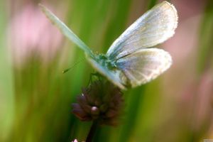 Fa23768e5009d03de6f58dc3e2883387