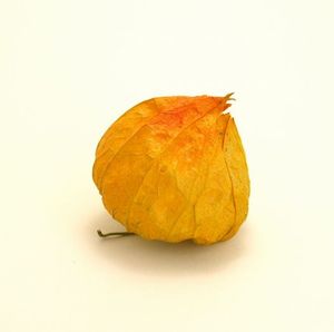 1b625e7add195a1509d289c2976b884b