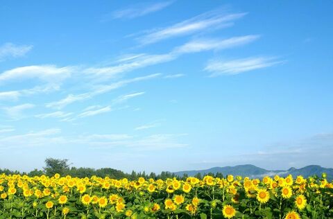 De53634f4105e95d2bf4f03e5f6d4615