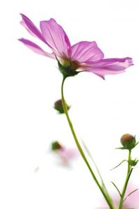 686bdfc994a447f2e2793b5addac9689