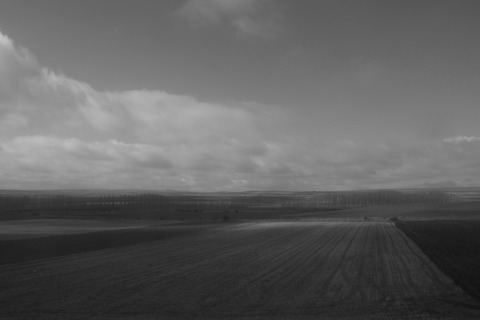 Af29147f9c2396a5283436988491755f