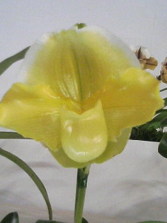 13ec5e2d319cc0dfba7dcf5e41cfc50b