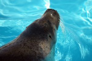 42ae107c7104a4bac344a624ef3ca64d