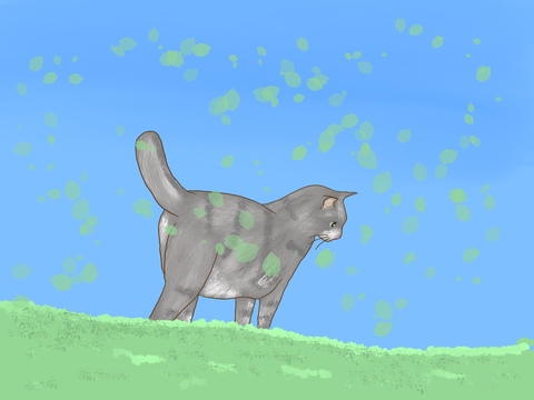 A02a0b41f8ea7f1e7a0d5141a44917dc